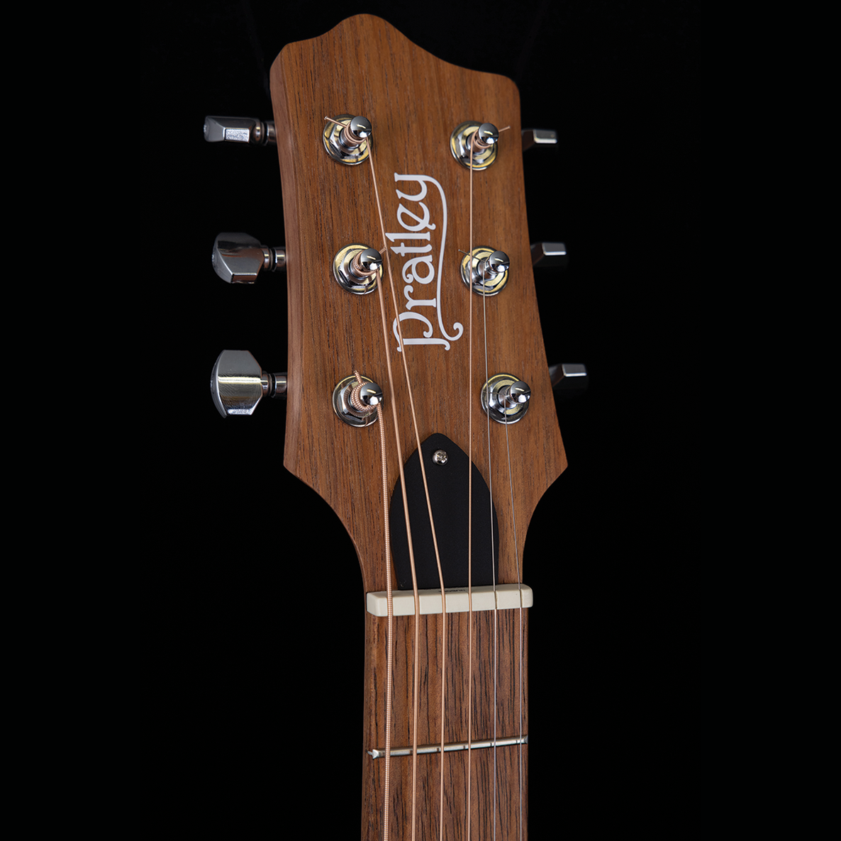 Acoustic/Electric Guitars Pratley Guitars GIG Guitars