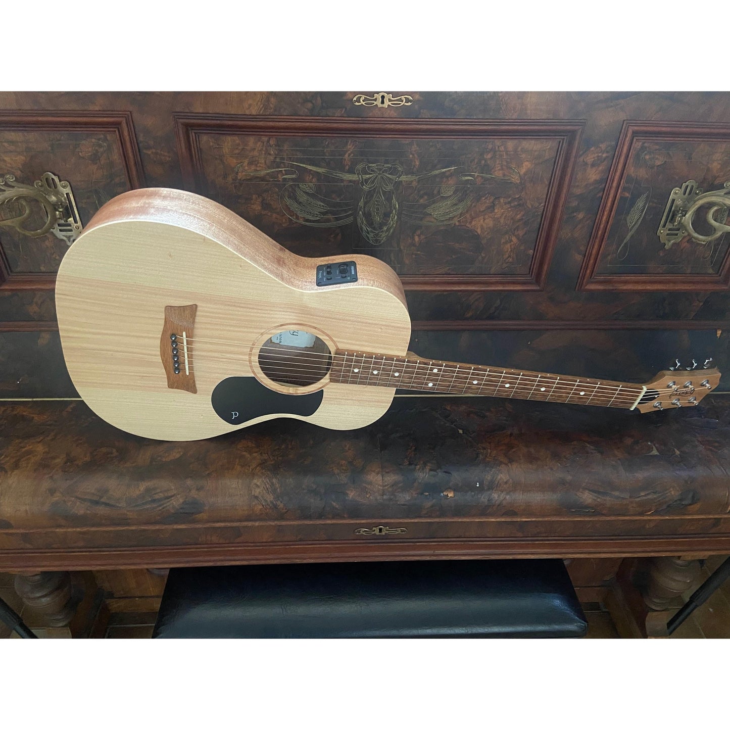 Acoustic/Electric Guitars Pratley Guitars GIG Guitars