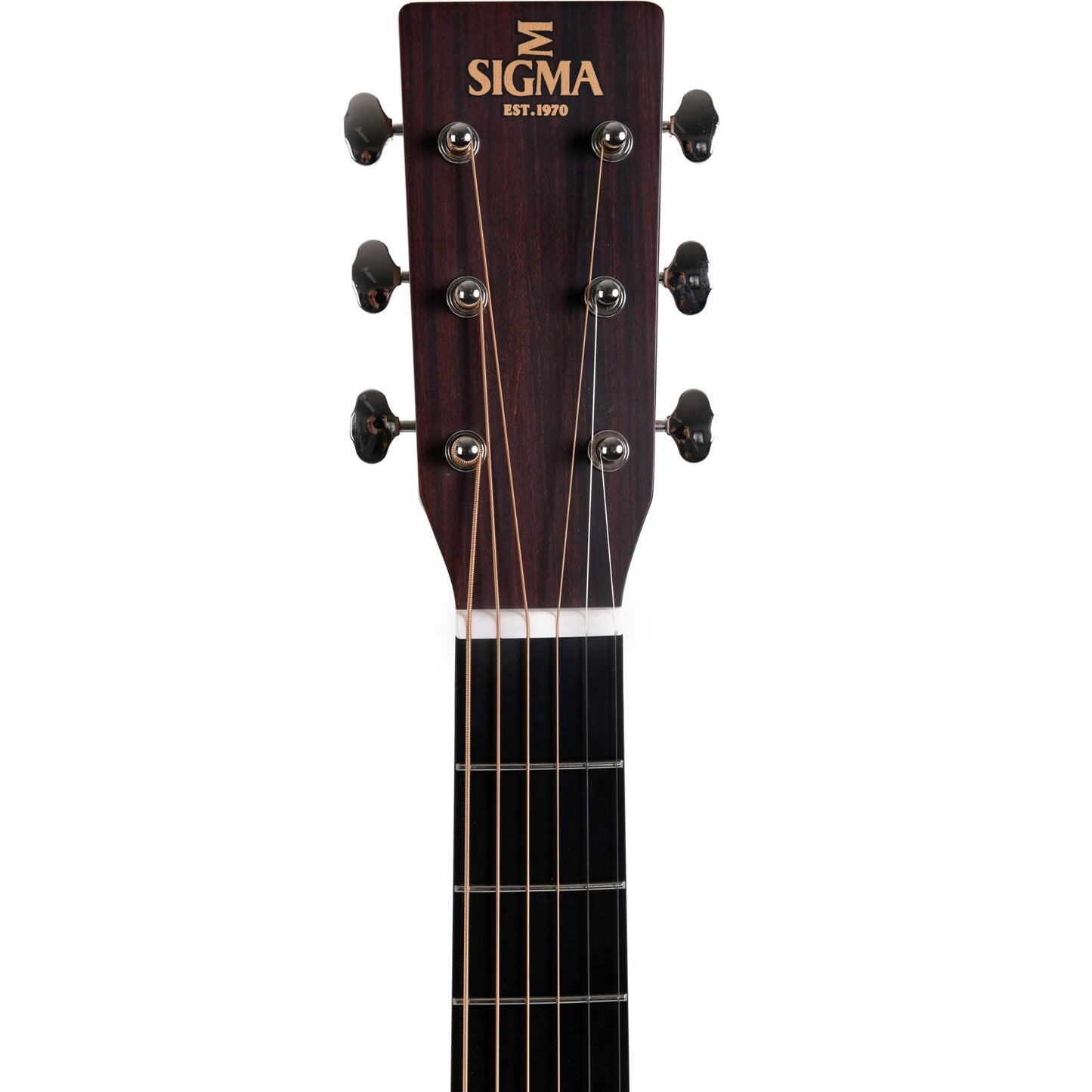 Acoustic/Electric Guitars Sigma GIG Guitars