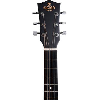 Acoustic/Electric Guitars Sigma GIG Guitars