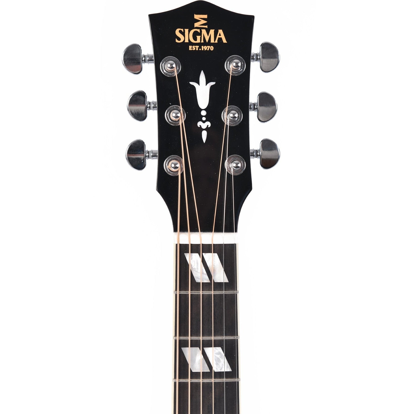 Acoustic/Electric Guitars Sigma GIG Guitars