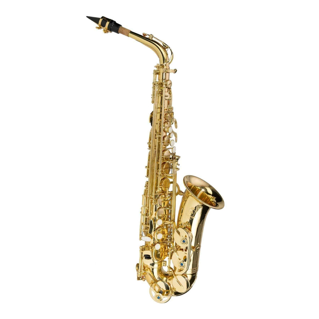 Steinhoff Intermediate Alto Saxophone (Gold) - GIG Guitars