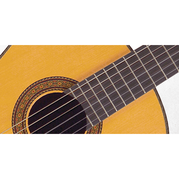 Takamine Pro Series Full Size Classical Guitar in Natural Gloss Finish - GIG Guitars