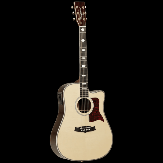 Acoustic/Electric Guitars Tanglewood GIG Guitars