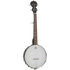 Tanglewood TWBT Traveller Banjo 5 String - GIG Guitars