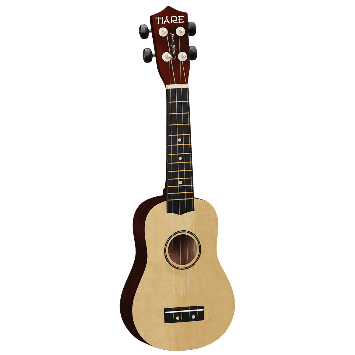 Ukulele Tanglewood Folk GIG Guitars