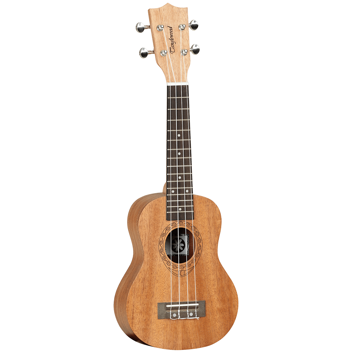 Ukulele Tanglewood Folk GIG Guitars