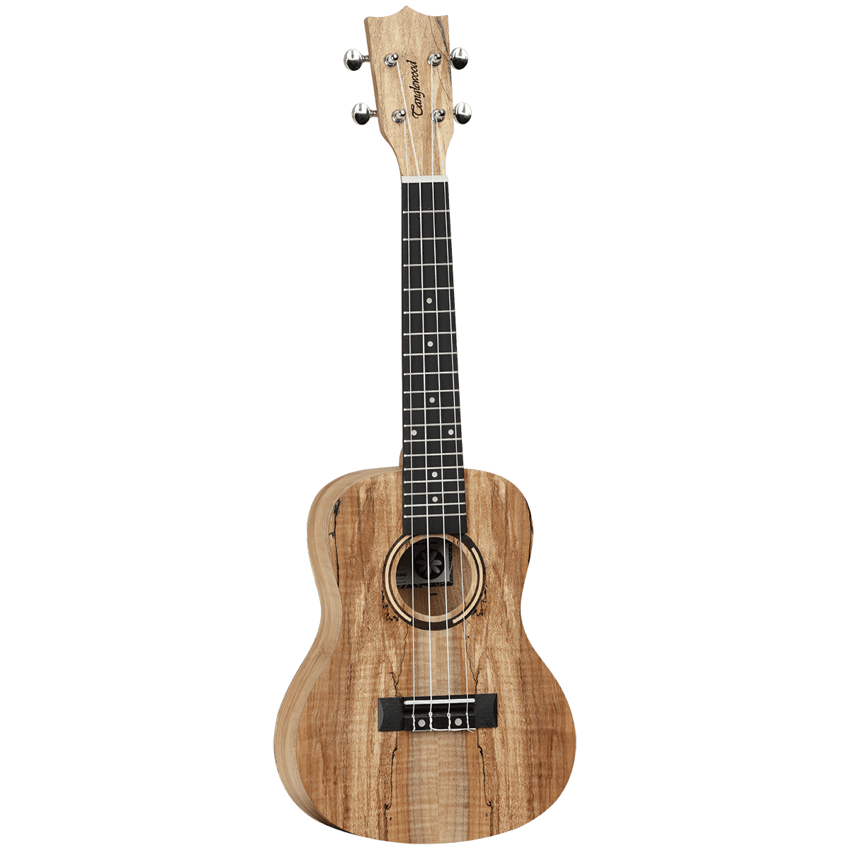 Tanglewood TWT10 Tiare Concert Ukulele All Spalted Maple with Bag - GIG Guitars