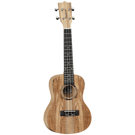 Ukulele Tanglewood Folk GIG Guitars