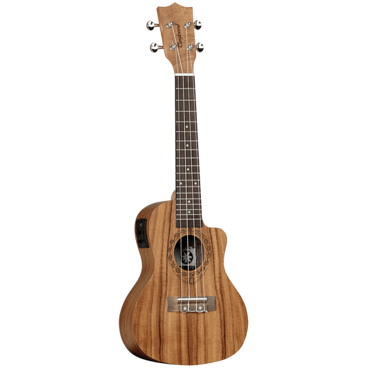 Ukulele Tanglewood Folk GIG Guitars