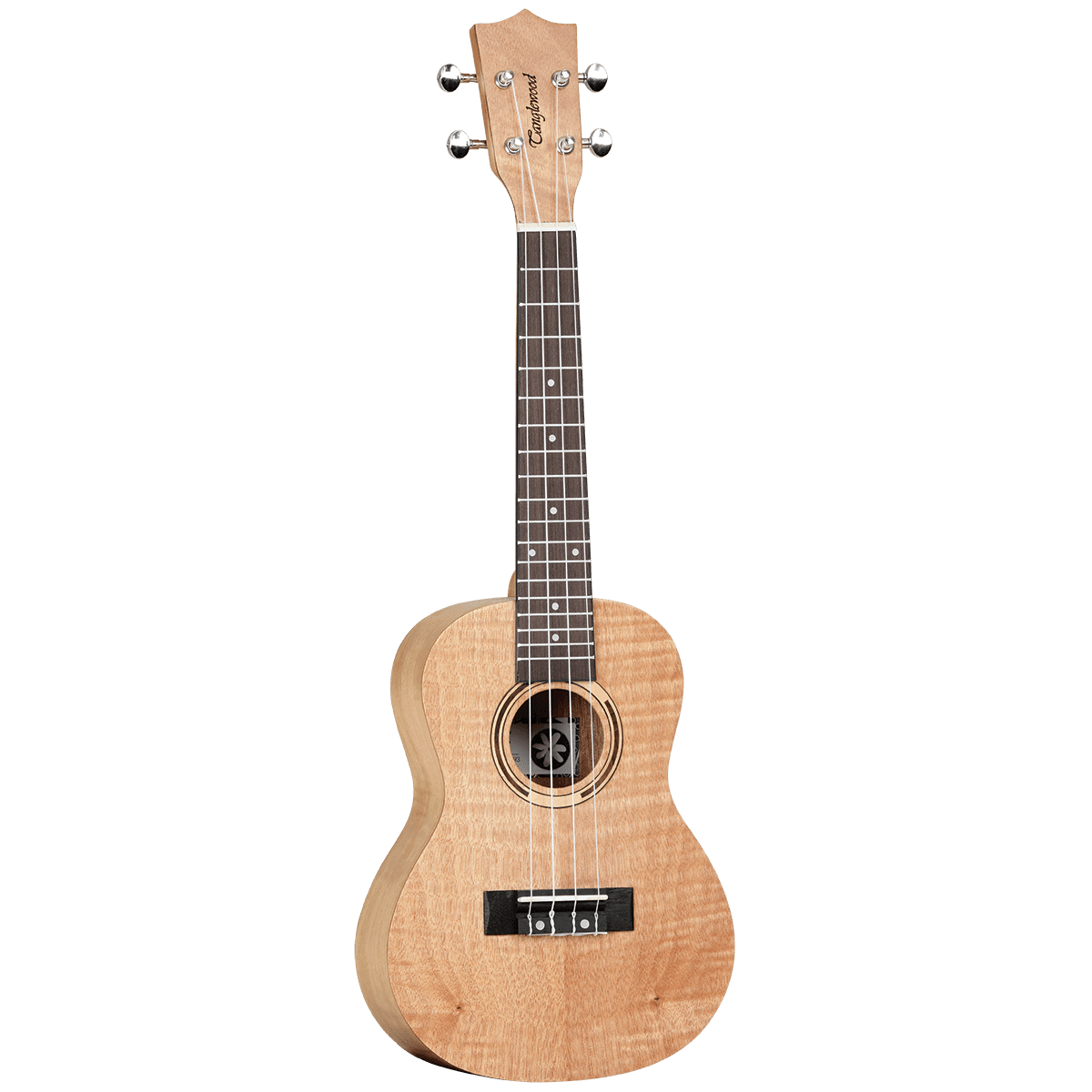 Tanglewood TWT6B Tiare Concert Ukulele All Flame Mahogany with Bag - GIG Guitars