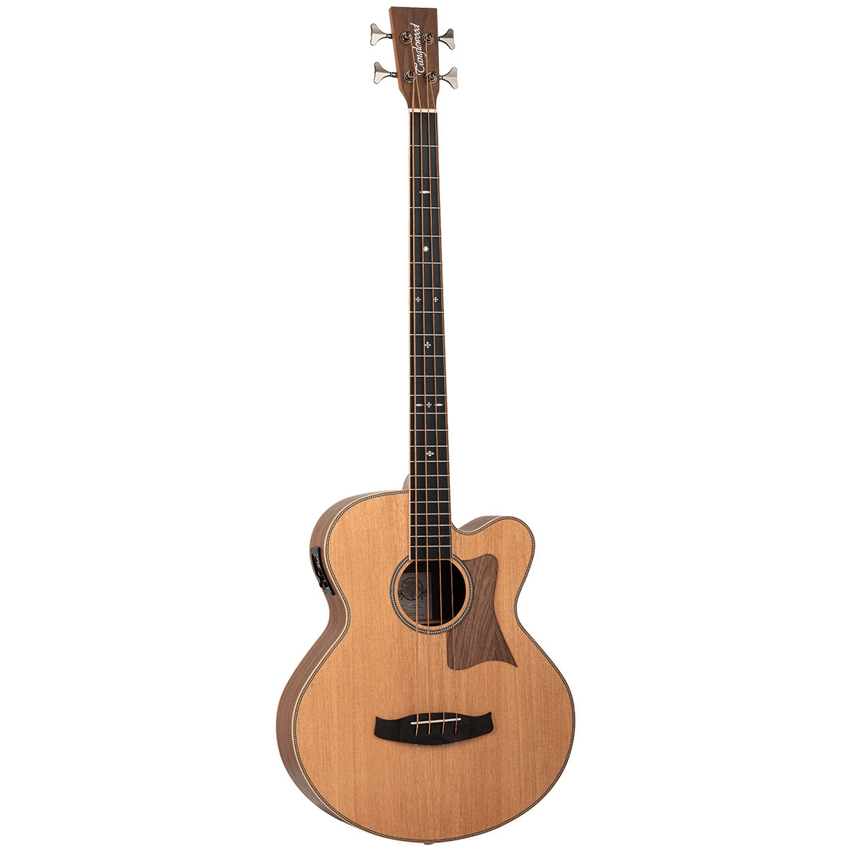 Tanglewood Reunion Pro Super Jumbo Acoustic Bass - GIG Guitars