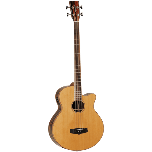 Acoustic/Electric Bass Guitars Tanglewood Guitars GIG Guitars