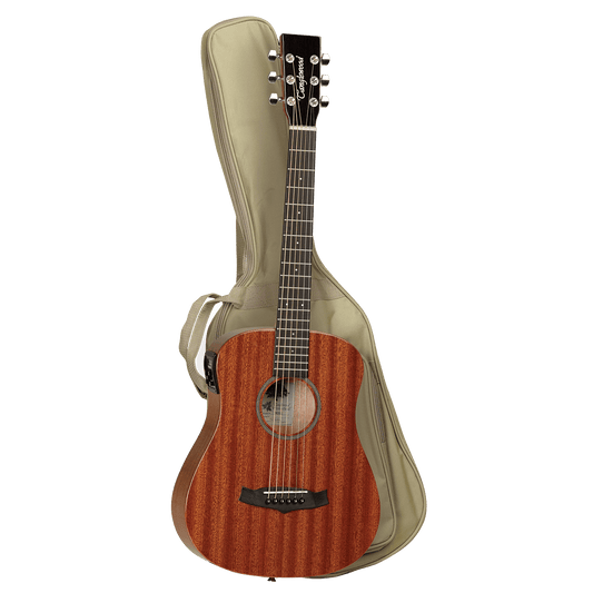 Guitar Tanglewood Guitars GIG Guitars