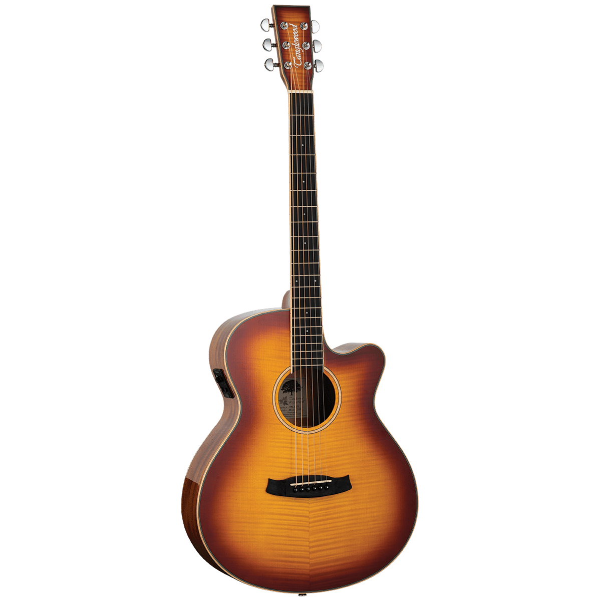 Tanglewood TW4EFM Winterleaf Exotic Superfolk Solid Top C/E Tiger Flame Maple - GIG Guitars