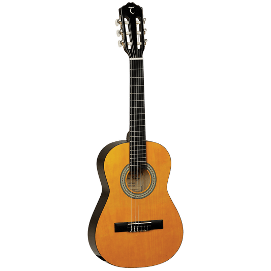 Guitar Tanglewood Guitars GIG Guitars