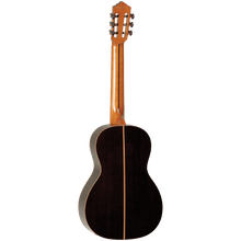 Tanglewood TWEMD4 Enredo Madera Dominar Solid Top Parlour Classical Guitar Tanglewood Guitars Guitar