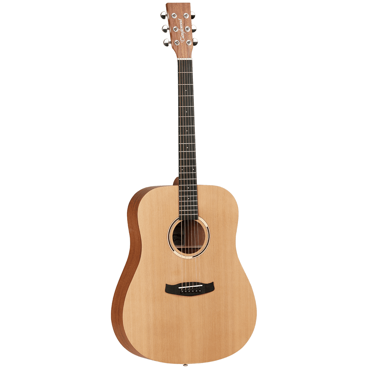 Tanglewood TWR2D Roadster II Dreadnought - GIG Guitars