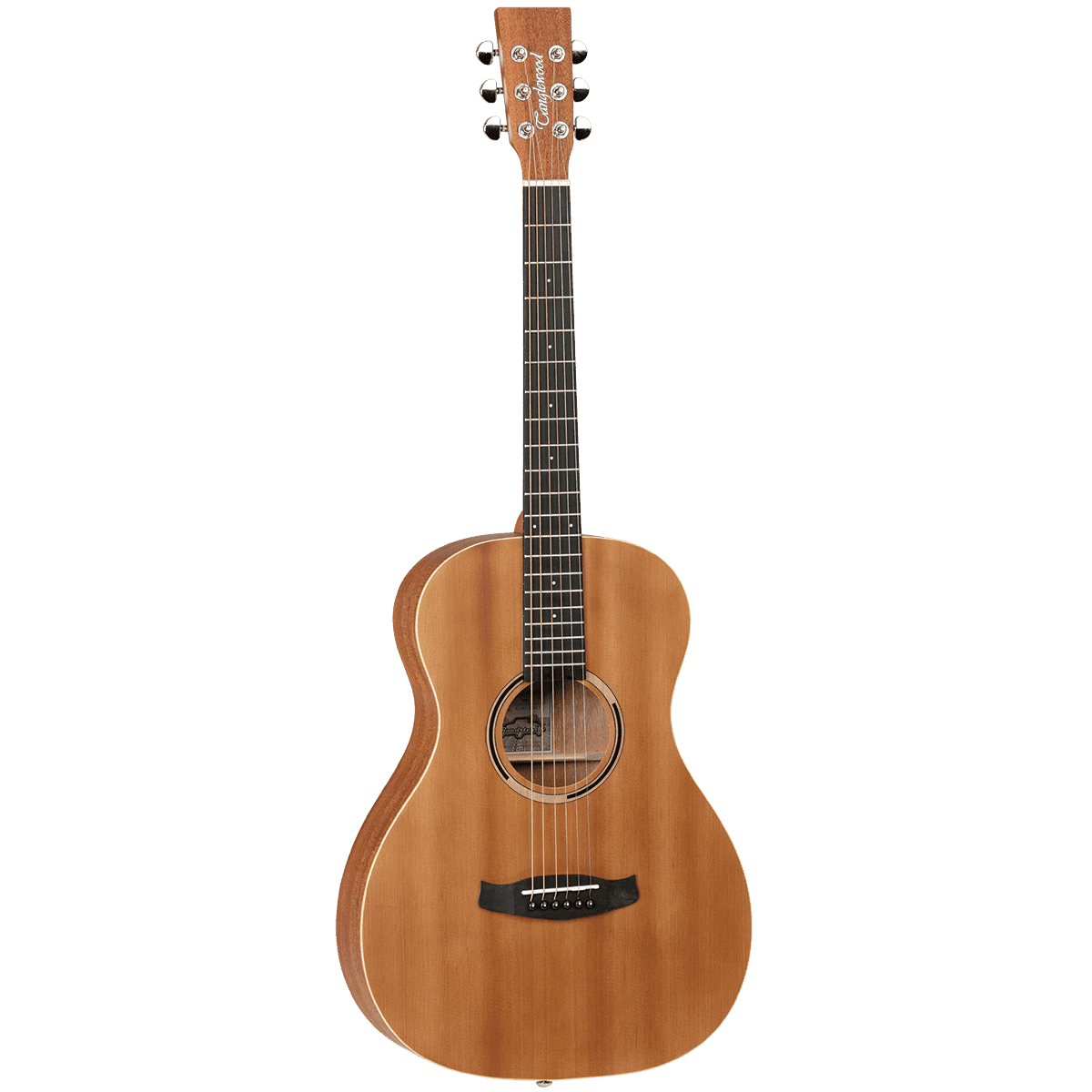 Tanglewood TWR2P Roadster II Parlour - GIG Guitars