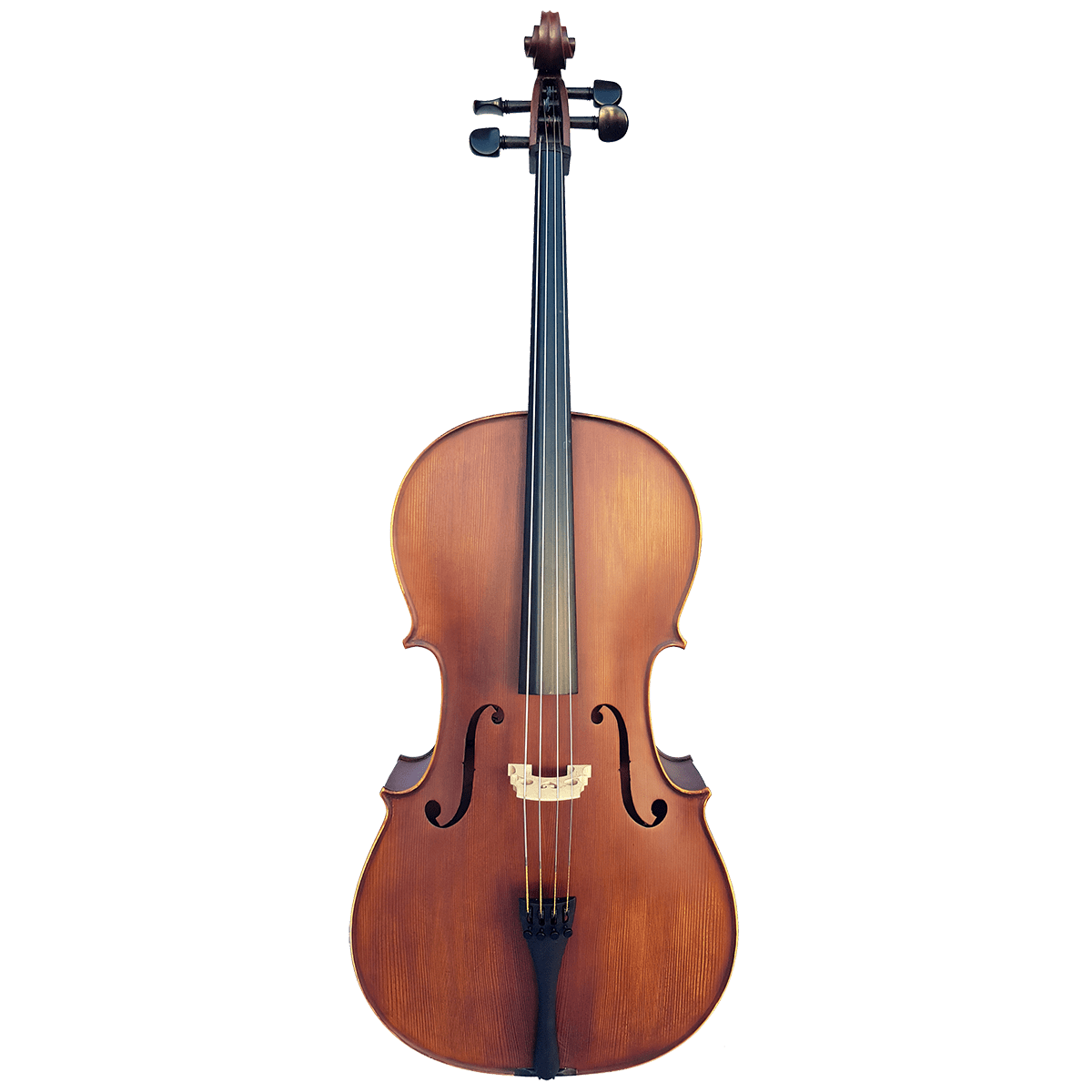 Vivo Elite Cello 4/4    Outfit - Setup - GIG Guitars