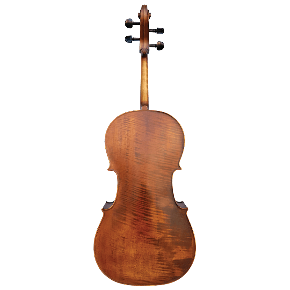 Vivo Elite Cello 4/4 Outfit - Setup - GIG Guitars