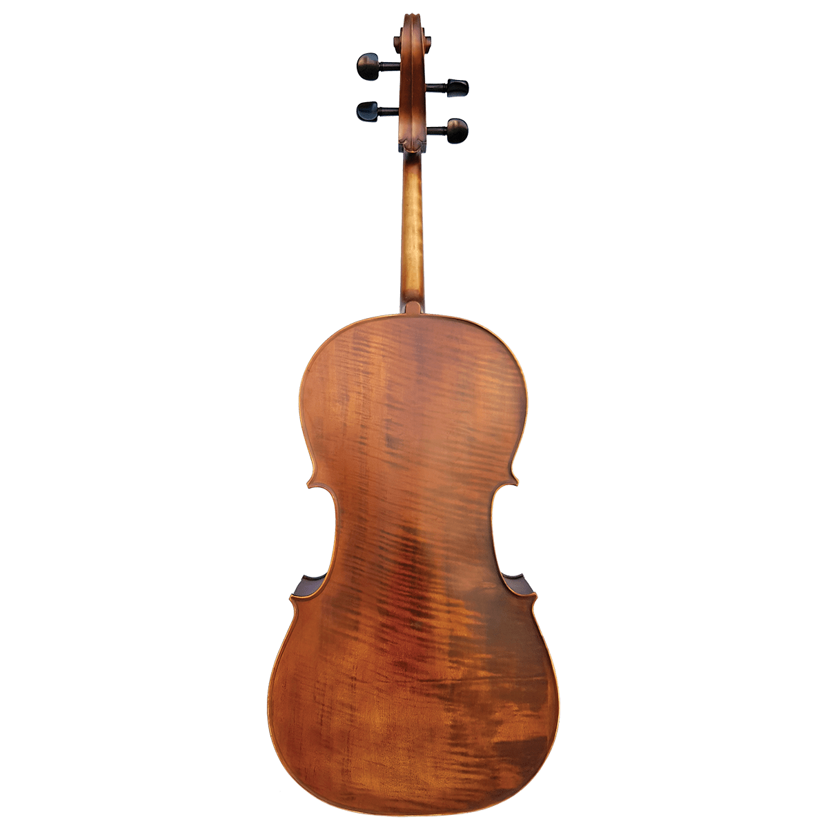 Vivo Elite Cello 4/4    Outfit - Setup - GIG Guitars