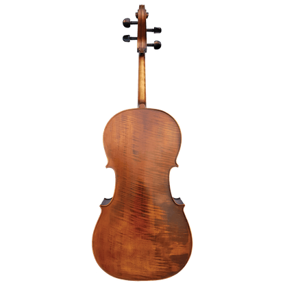 Vivo Elite Cello 4/4    Outfit - Setup - GIG Guitars