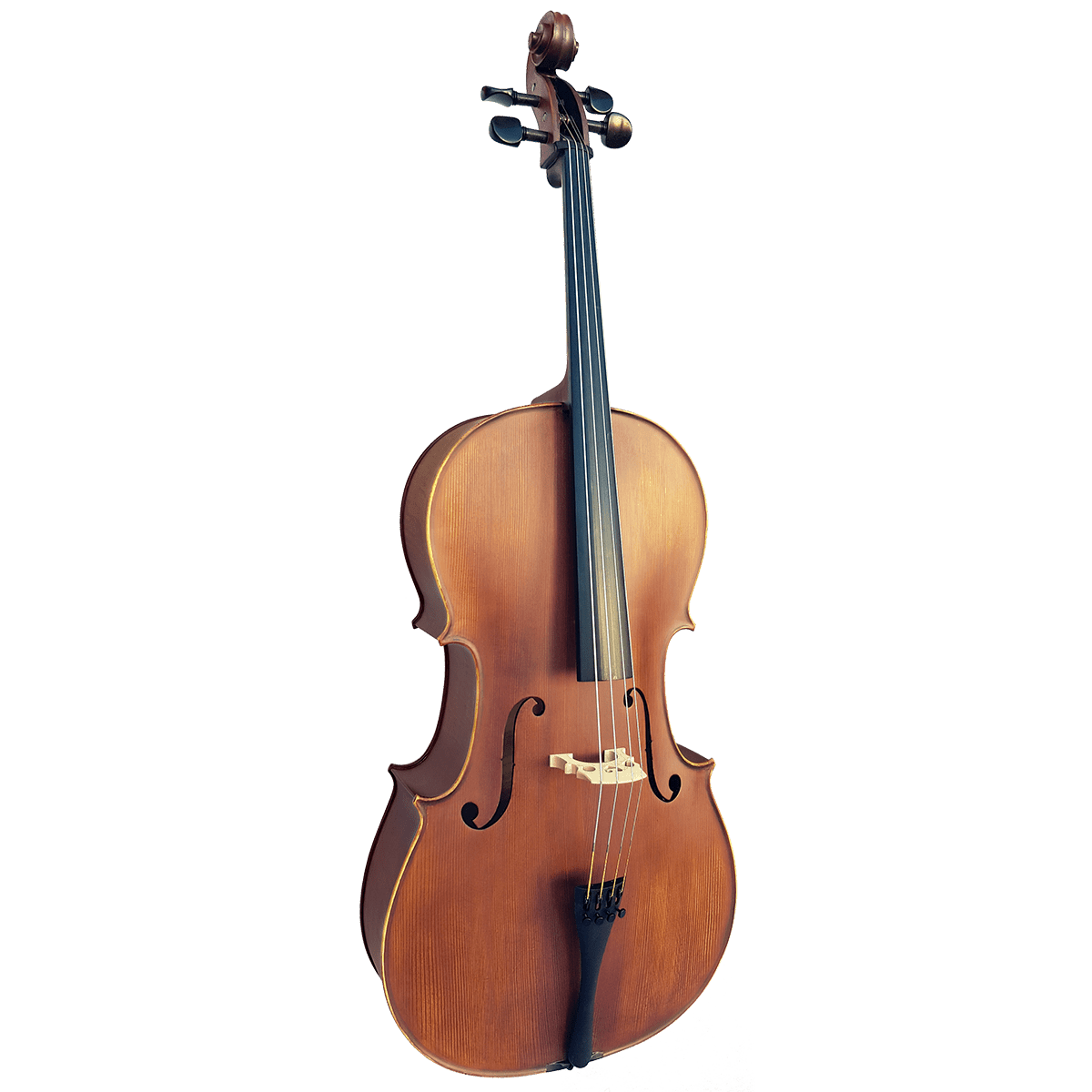 Vivo Elite Cello 4/4 Outfit - Setup - GIG Guitars