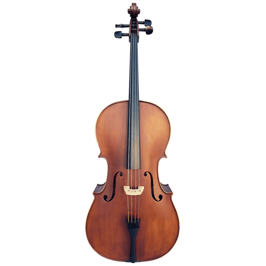 Vivo Elite Cello 4/4 Outfit Vivo Violins Cello