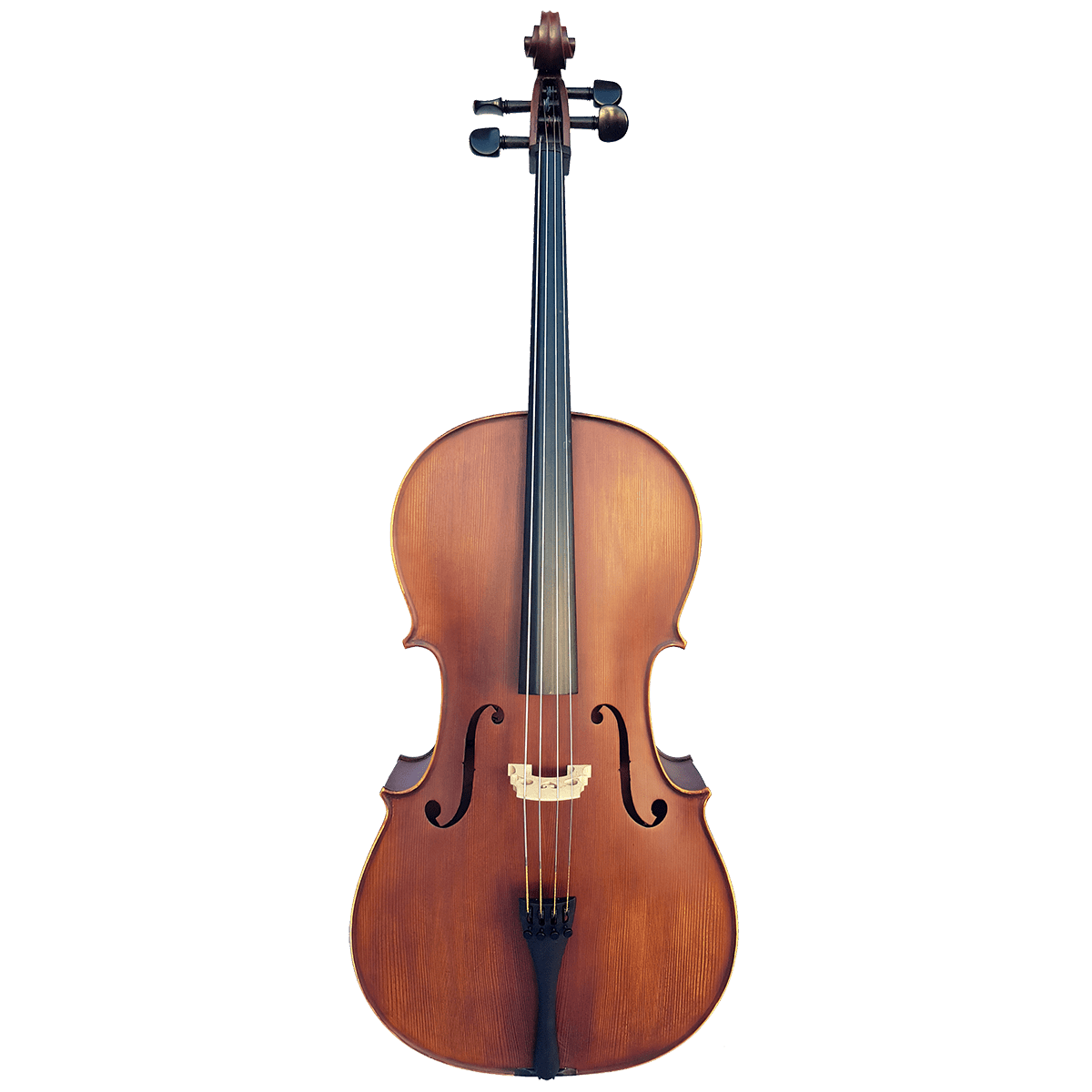 Vivo Elite Cello 4/4 Outfit - GIG Guitars