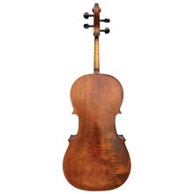 Vivo Violins Cello NatMusProduct 2