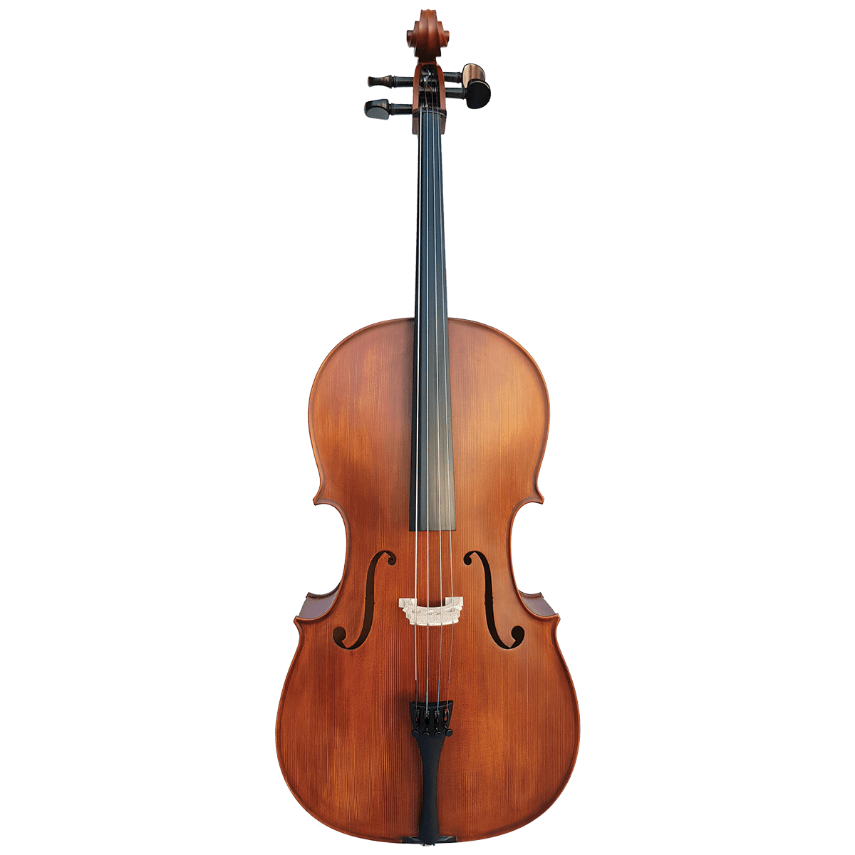 Cello Vivo Violins GIG Guitars