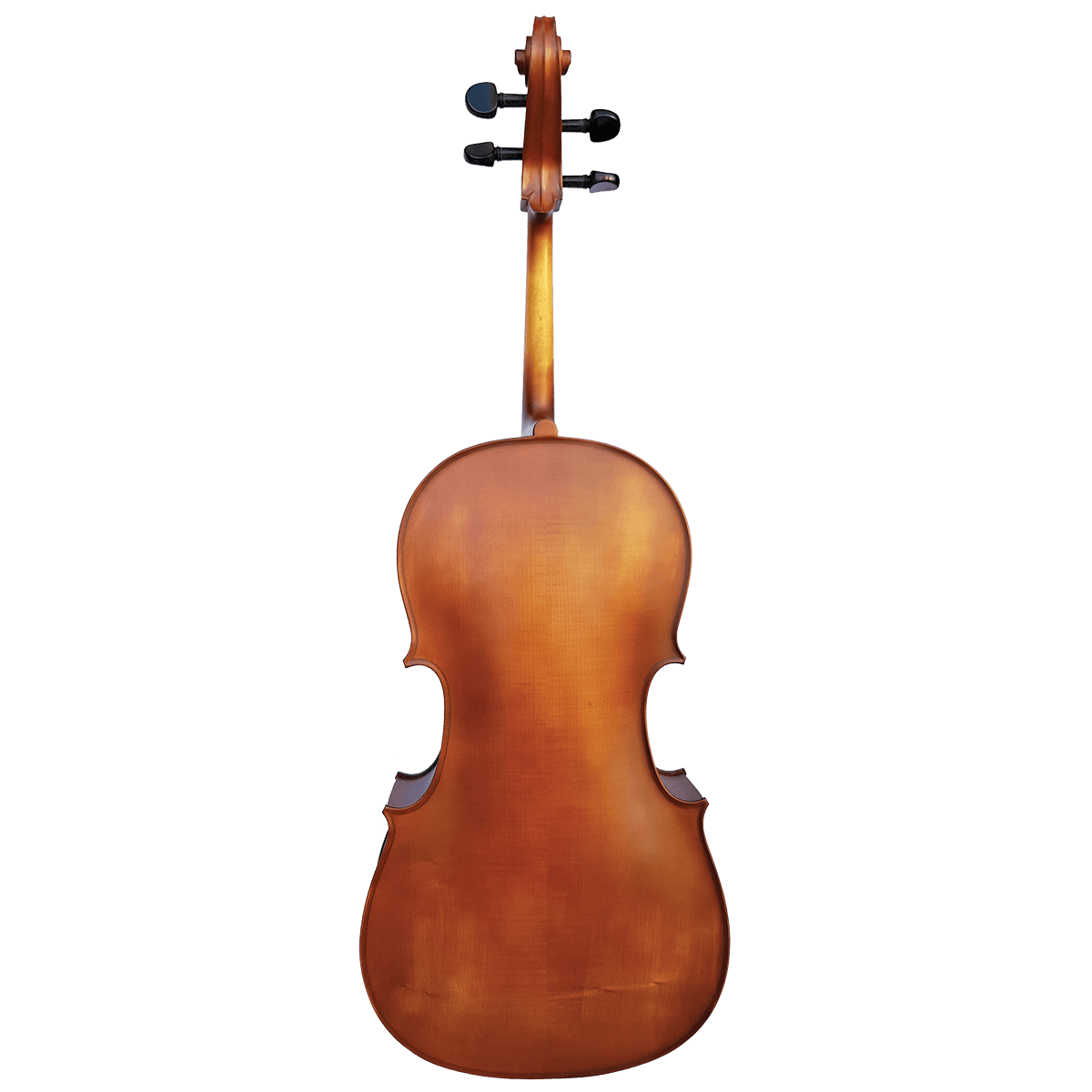 Cello Vivo Violins GIG Guitars