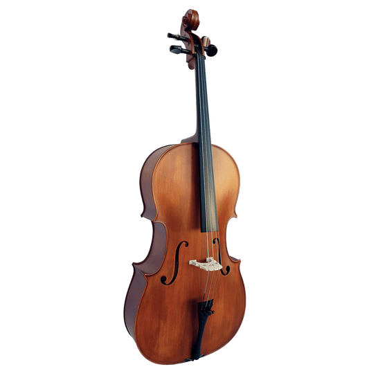 Cello Vivo Violins GIG Guitars