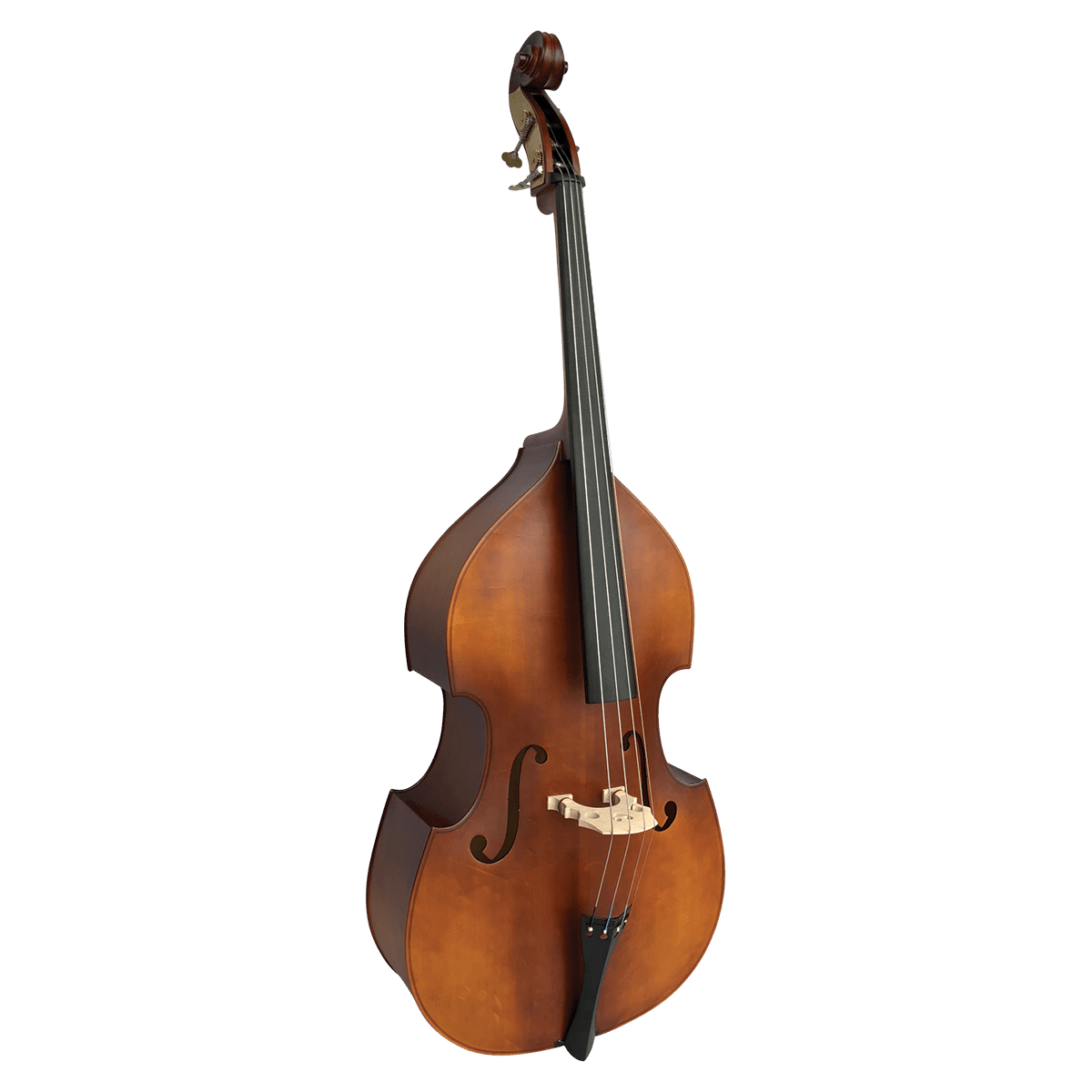 Double Bass Vivo Violins GIG Guitars