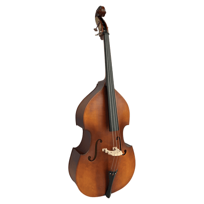 Double Bass Vivo Violins GIG Guitars