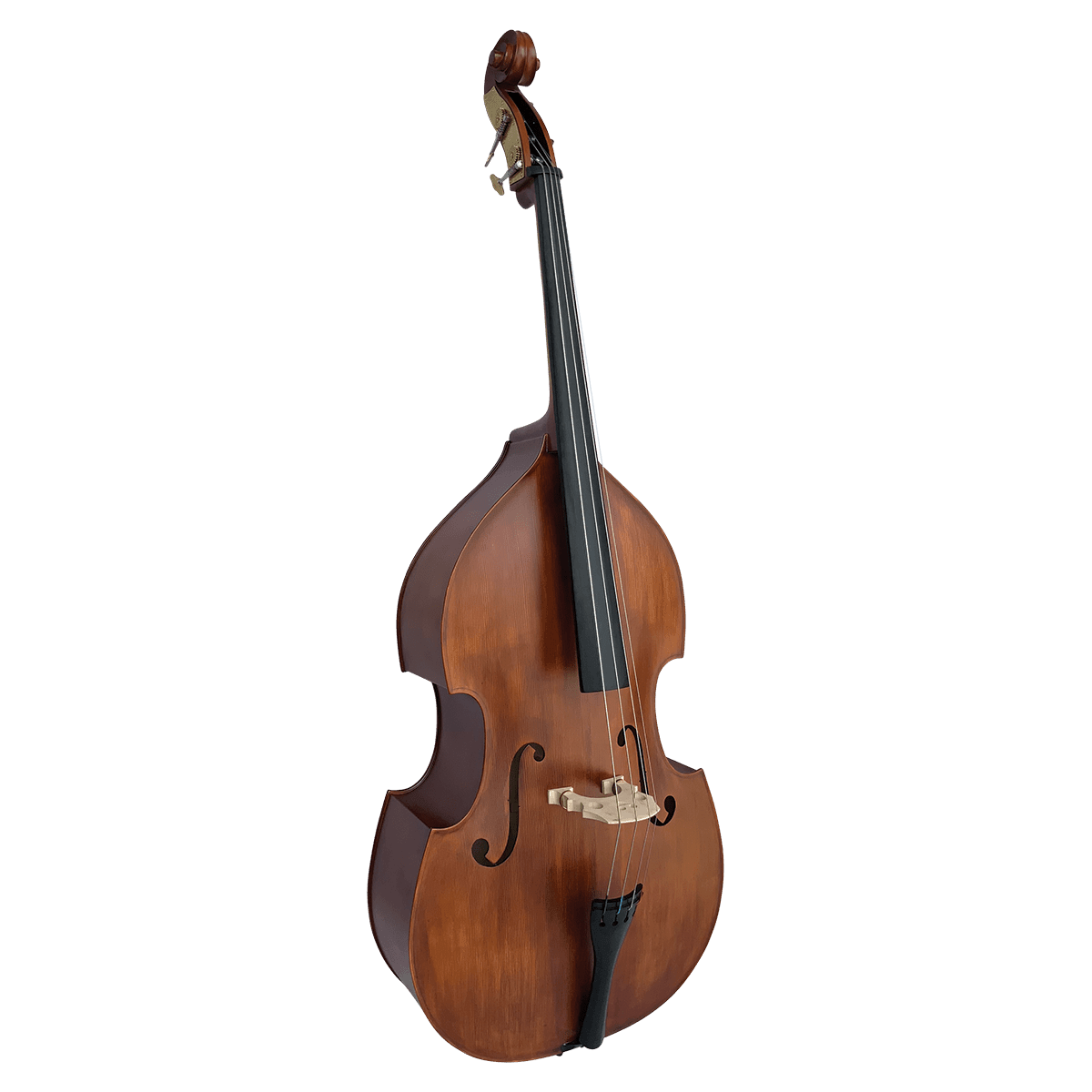 Double Bass Vivo Violins GIG Guitars