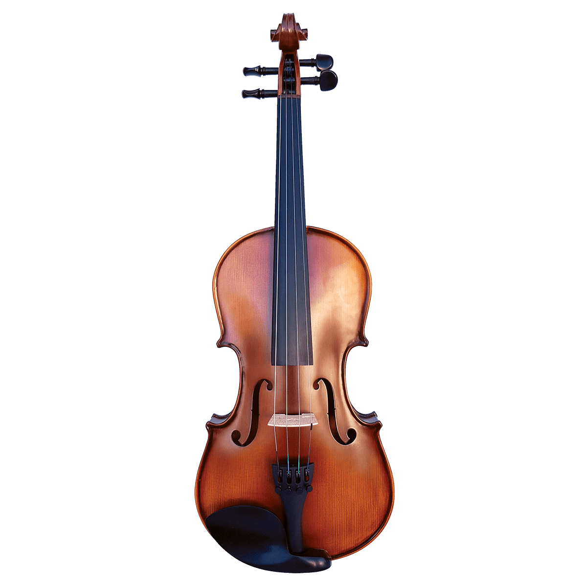 Vivo Encore 14" Student Viola Outfit - GIG Guitars