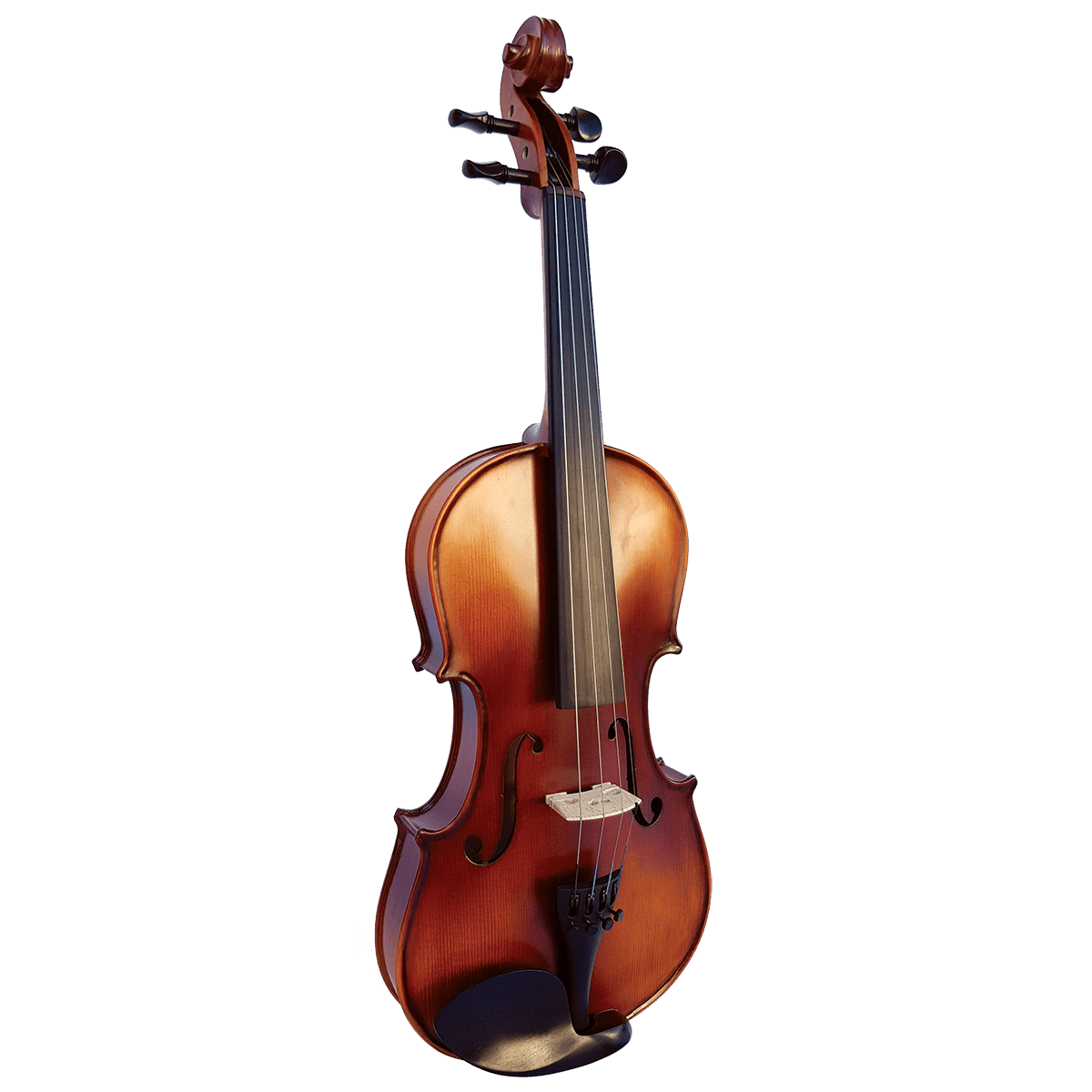 Vivo Encore 14" Student Viola Outfit - GIG Guitars