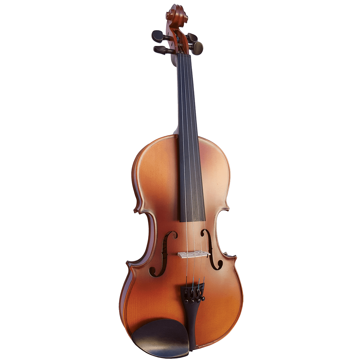 Vivo Neo 12" Student Viola Outfit - GIG Guitars