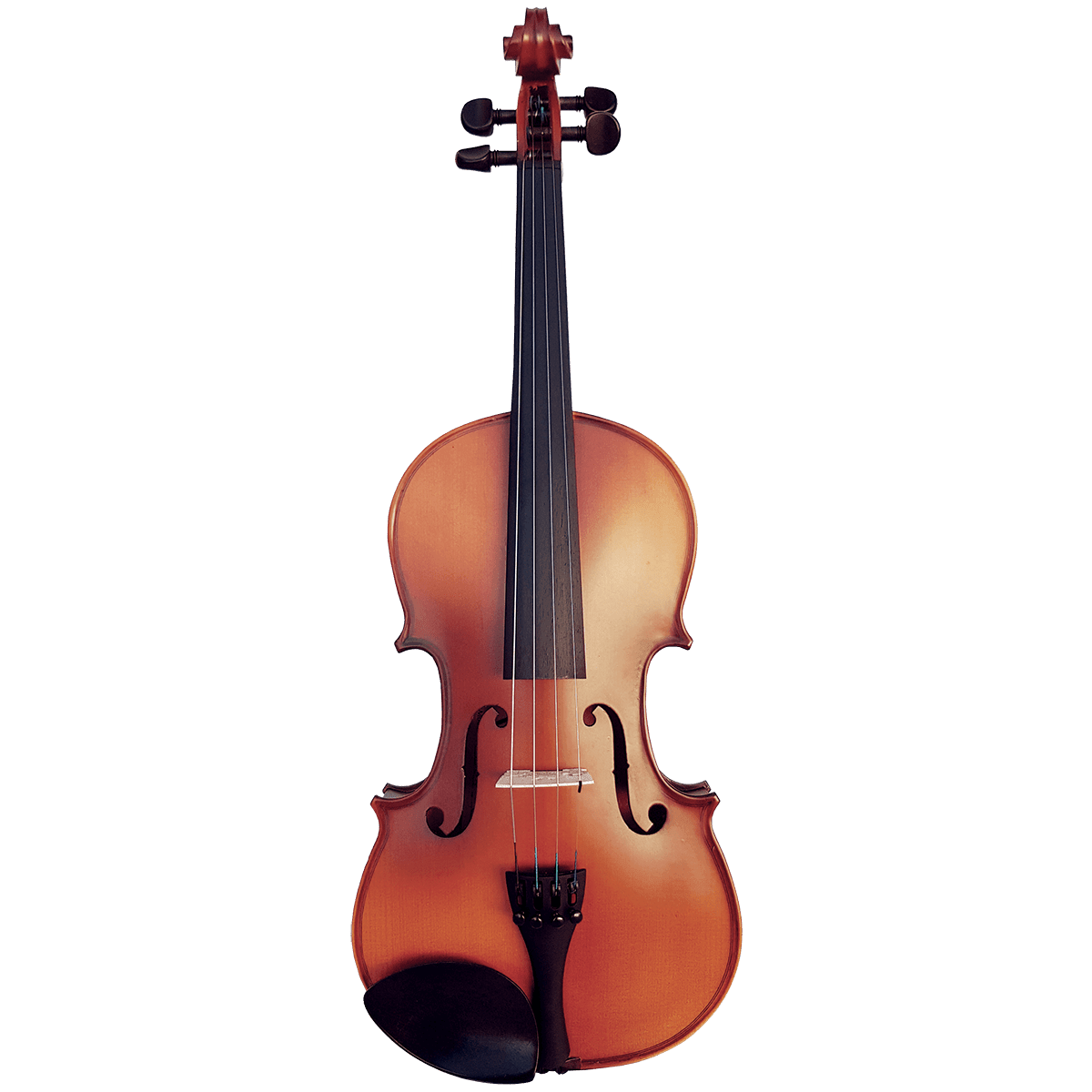 Vivo Neo 12" Student Viola Outfit - GIG Guitars