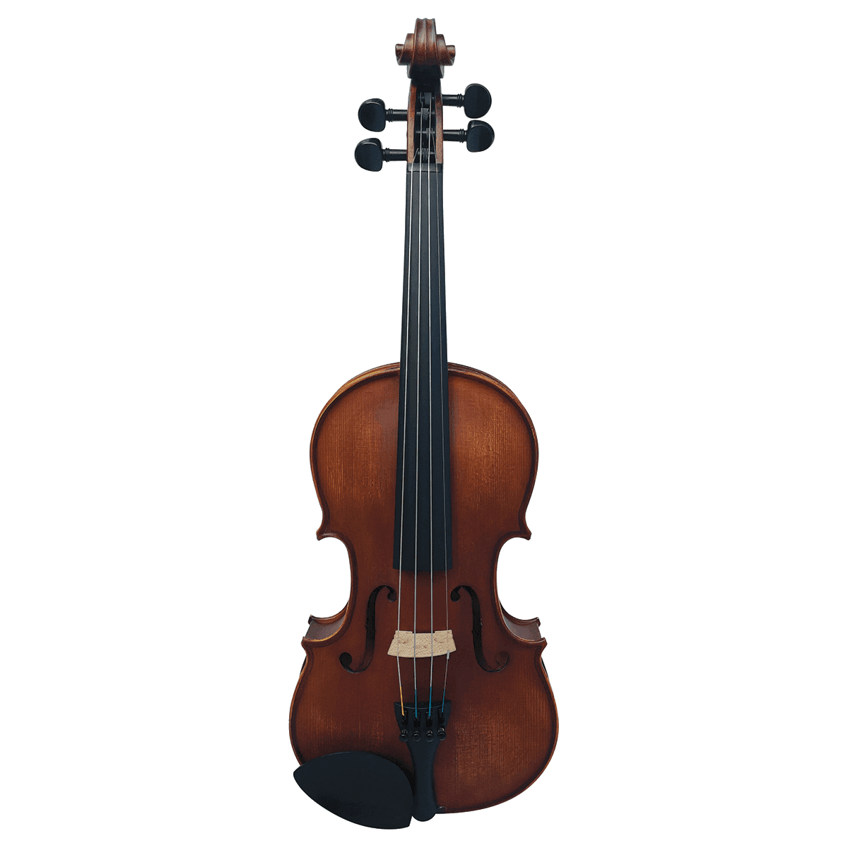 Vivo Alpha 1/2 Student Violin Outfit - Including Professional Setup - GIG Guitars