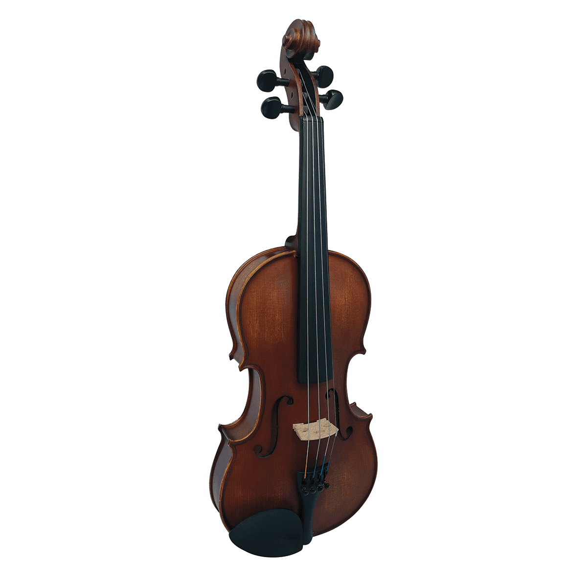 Vivo Alpha 1/2 Student Violin Outfit - Including Professional Setup - GIG Guitars