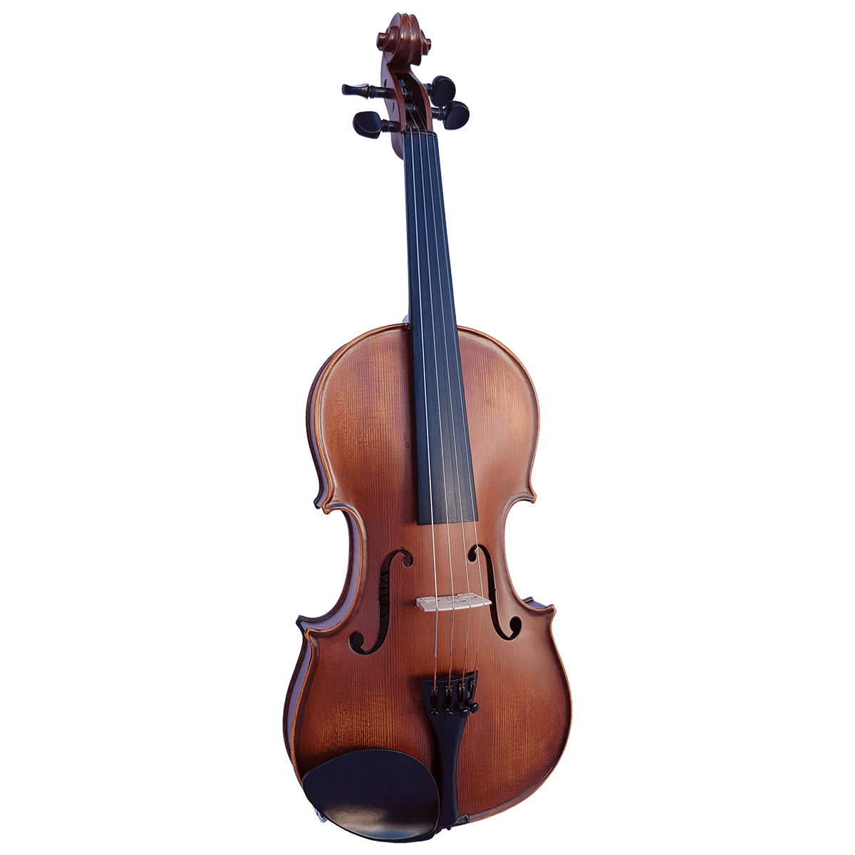 Vivo Elite 3/4 Violin Outfit - Setup - GIG Guitars