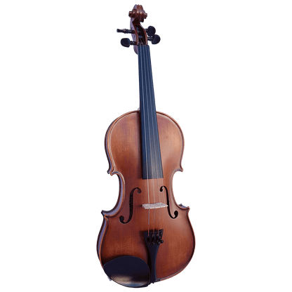 Vivo Elite 3/4 Violin Outfit - Setup - GIG Guitars