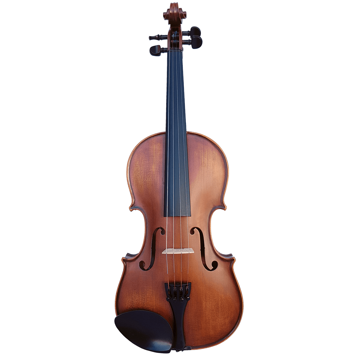 Vivo Elite 3/4 Violin Outfit - Setup - GIG Guitars