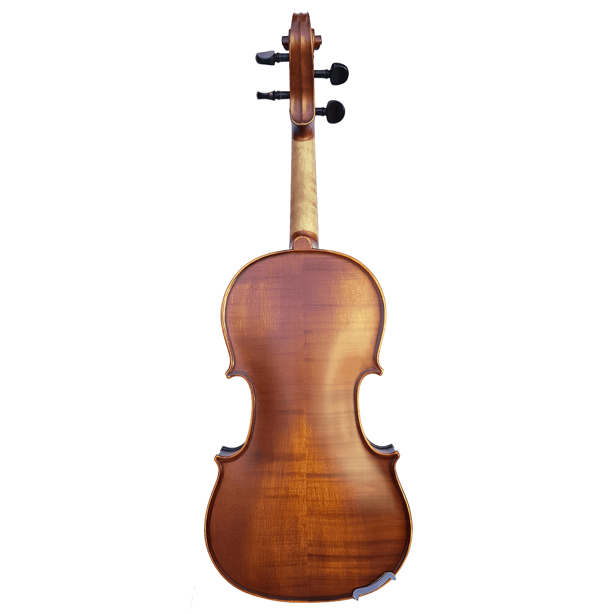 Vivo Elite 3/4 Violin Outfit - Setup - GIG Guitars