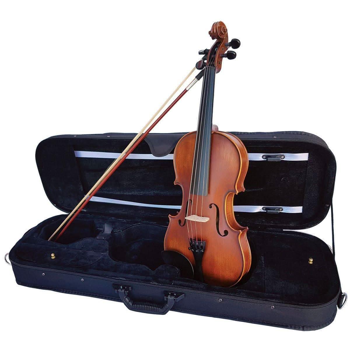 Vivo Elite 3/4 Violin Outfit - Setup - GIG Guitars