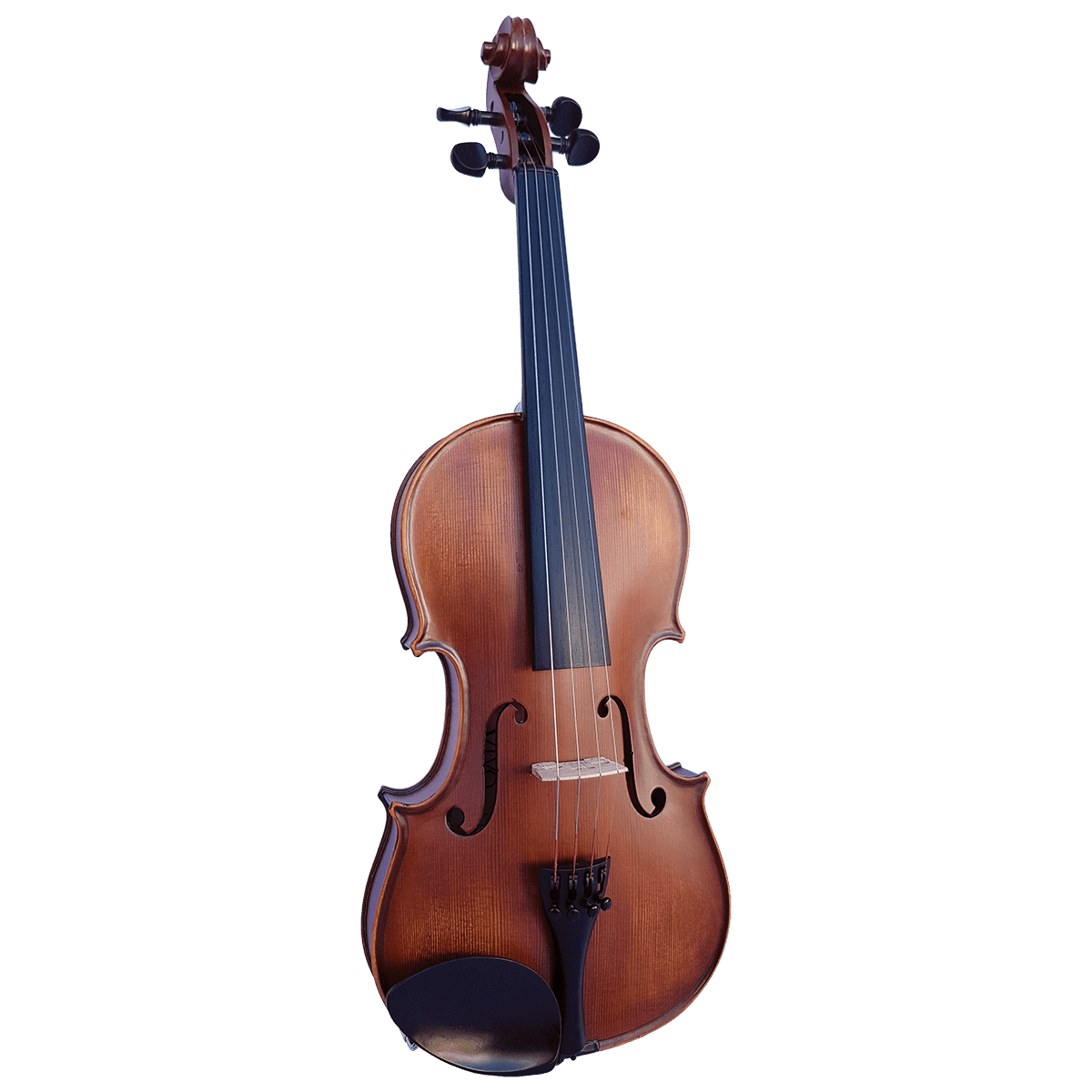 Vivo Elite 4/4 Violin Outfit - GIG Guitars