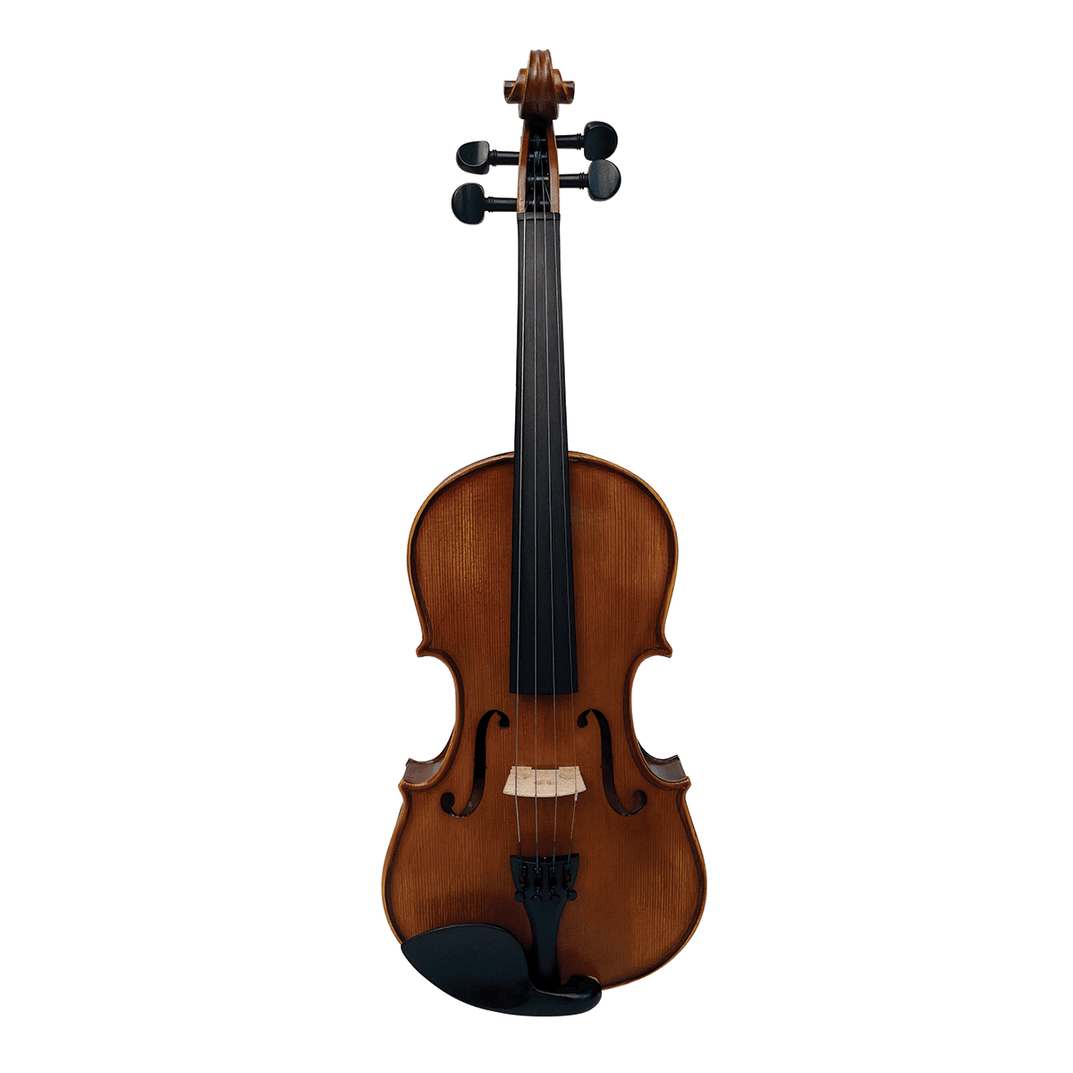 Vivo Encore 4/4 Student Violin Outfit - Setup - GIG Guitars